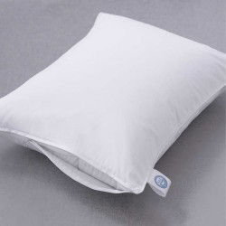Allied Home Down Pillow...