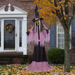 10ft Animated Witch